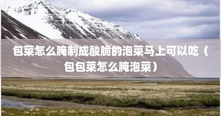 包菜怎么腌制成酸脆的泡菜马上可以吃（包包菜怎么腌泡菜）