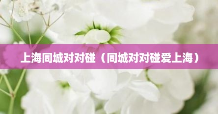 上海同城对对碰(同城对对碰爱上海)