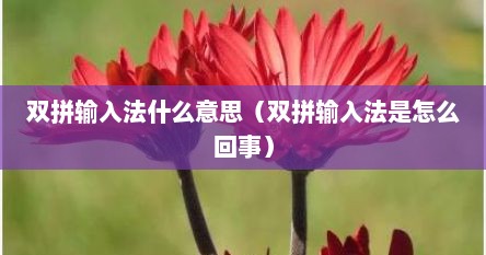 双拼输入法什么意思（双拼输入法是怎么回事）