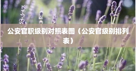 公安官职级别对照表图（公安官级别排列表）