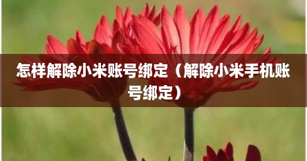 怎样解除小米账号绑定（解除小米手机账号绑定）