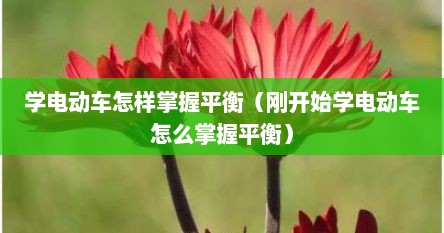 学电动车怎样掌握平衡（刚开始学电动车怎么掌握平衡）