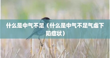 什么是中气不足（什么是中气不足气虚下陷症状）