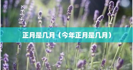 正月是几月（今年正月是几月）