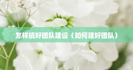 怎样搞好团队建设（如何建好团队）