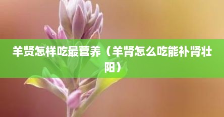 羊贤怎样吃最营养（羊肾怎么吃能补肾壮阳）