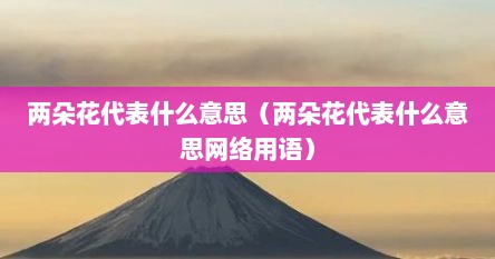两朵花代表什么意思（两朵花代表什么意思网络用语）