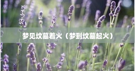 梦见坟墓起大火怎么回事（梦见坟墓起火是否好）