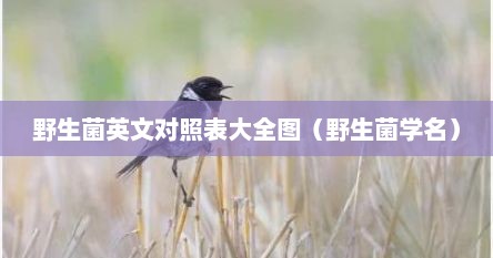 野生菌种类和图片大全（野生菌名字图片大全）