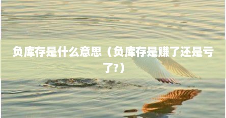 负库存是什么意思（负库存是赚了还是亏了?）