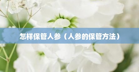 怎样保管人参（人参的保管方法）