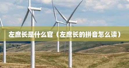 左庶长是什么官（左庶长的拼音怎么读）