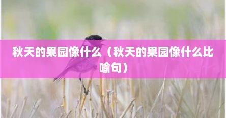 秋天的果园可以比作什么（秋天里的果园像什么）