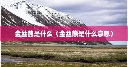 金丝熊是什么（金丝熊是什么意思）