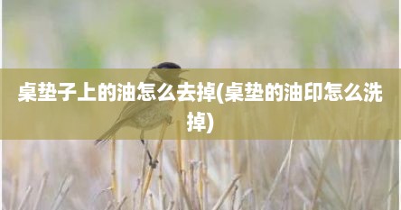 桌垫子上的油怎么去掉(桌垫的油印怎么洗掉)