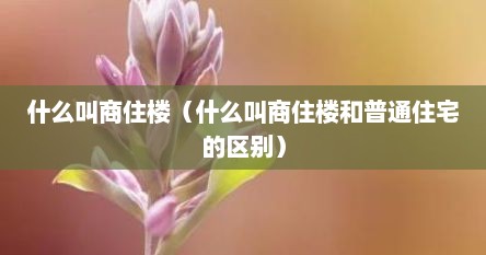 什么叫商住楼（什么叫商住楼和普通住宅的区别）