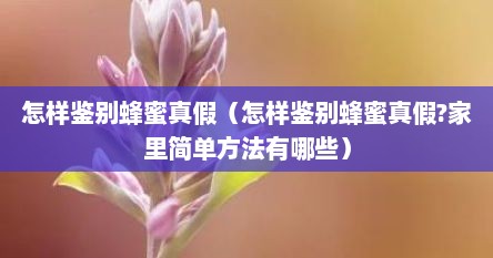 怎样鉴别蜂蜜真假（怎样鉴别蜂蜜真假?家里简单方法有哪些）
