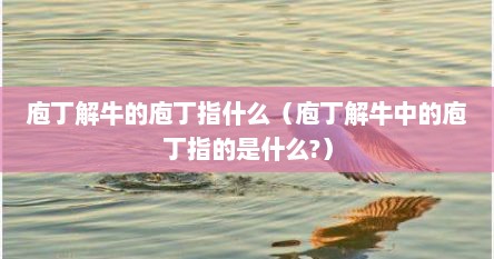 庖丁解牛的庖丁指什么（庖丁解牛中的庖丁指的是什么?）