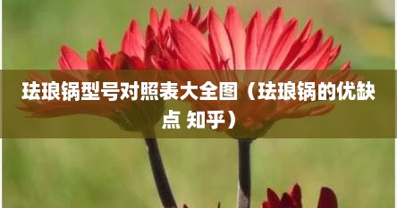 珐琅锅型号对照表大全图（珐琅锅的优缺点 知乎）