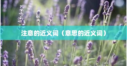 注意的近义词（意思的近义词）