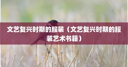 文艺复兴时期的服装（文艺复兴时期的服装艺术书籍）