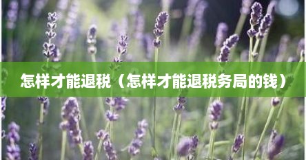 怎样才能退税（怎样才能退税务局的钱）