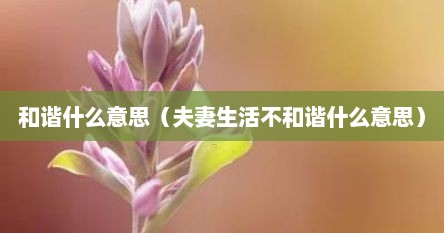 和谐什么意思（夫妻生活不和谐什么意思）