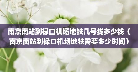 南京南站到禄口机场地铁几号线多少钱(南京南站到禄口机场地铁需要多少时间) 南京南站到禄口机场地铁几号线多少钱(南京南站到禄口机场地铁需要多少时间)