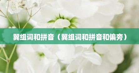 翼组词和拼音（翼组词和拼音和偏旁）