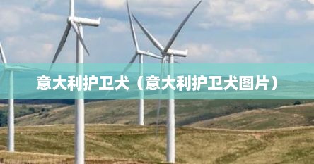 意大利护卫犬（意大利护卫犬图片）