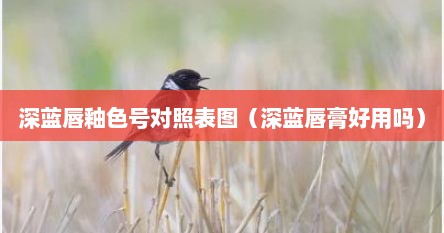 深蓝唇釉色号对照表图（深蓝唇膏好用吗）