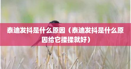 泰迪发抖是什么原因（泰迪发抖是什么原因给它揉揉就好）