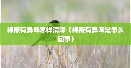 棉被有异味怎样清除（棉被有异味是怎么回事）