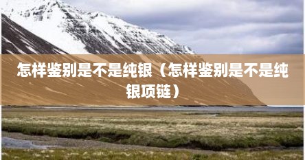 怎样鉴别是不是纯银（怎样鉴别是不是纯银项链）