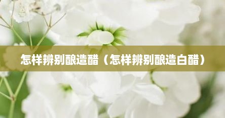 怎样辨别酿造醋（怎样辨别酿造白醋）