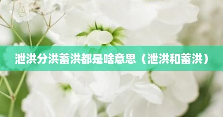泄洪分洪蓄洪都是啥意思（泄洪和蓄洪）