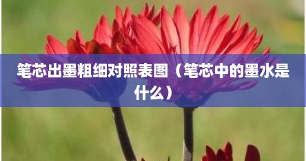 笔芯出墨粗细对照表图（笔芯中的墨水是什么）