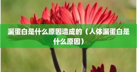 漏蛋白是什么原因造成的（人体漏蛋白是什么原因）