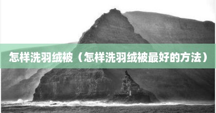 怎样洗羽绒被（怎样洗羽绒被最好的方法）