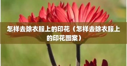 怎样去除衣服上的印花（怎样去除衣服上的印花图案）