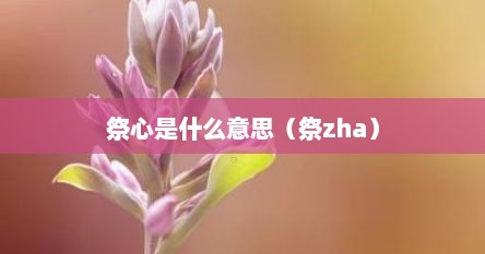 祭心是什么意思（祭zha）