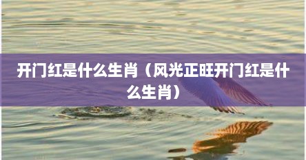 开门红是什么生肖（风光正旺开门红是什么生肖）