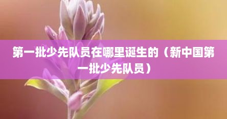 第一批少先队员在哪里诞生的（新中国第一批少先队员）