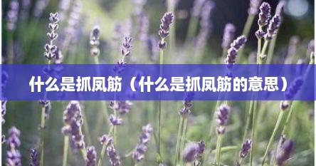 什么是抓凤筋（什么是抓凤筋的意思）