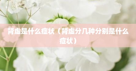 肾虚是什么症状（肾虚分几种分别是什么症状）
