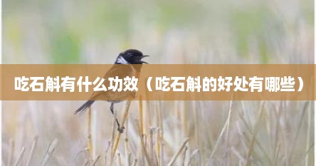 吃石斛的害处（吃石斛有哪些好处?）
