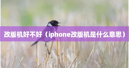 改版机好不好（iphone改版机是什么意思）