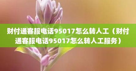 财付通客服电话95017怎么转人工（财付通客服电话95017怎么转人工服务）