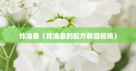 炸油条（炸油条的配方教程视频）