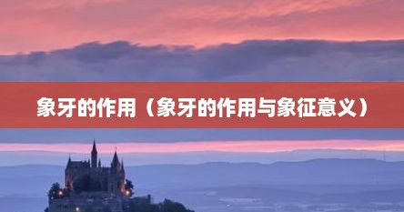 象牙的作用（象牙的作用与象征意义）